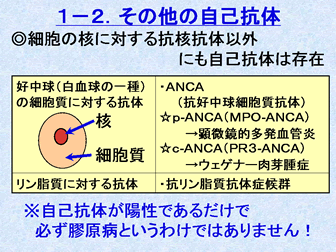 膠原 病 血液 検査